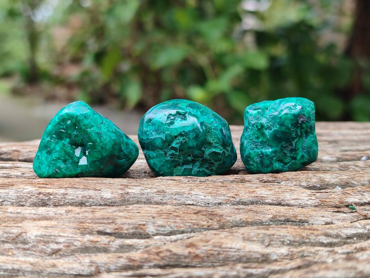 Polished Dioptase Free Forms x 30 From Likasi, Congo - Toprock Gemstones and Minerals 