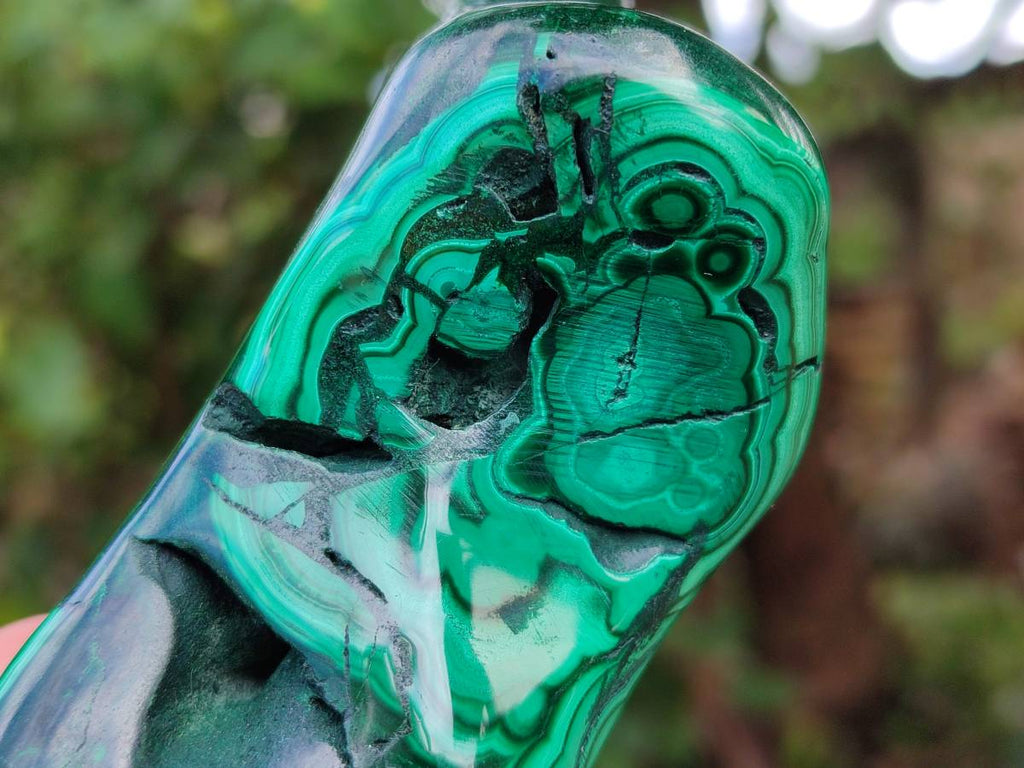 Polished Flower Banded Malachite Free Forms x 6 From Congo - Toprock Gemstones and Minerals 