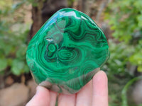 Polished Flower Banded Malachite Free Forms x 6 From Congo