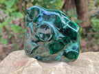 Polished Flower Banded Malachite Free Forms x 6 From Congo - Toprock Gemstones and Minerals 