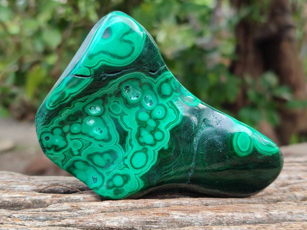 Polished Flower Banded Malachite Free Forms x 6 From Congo - Toprock Gemstones and Minerals 