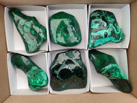 Polished Flower Banded Malachite Free Forms x 6 From Congo