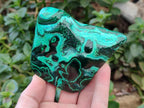Polished Flower Banded Malachite Free Forms x 6 From Congo - Toprock Gemstones and Minerals 