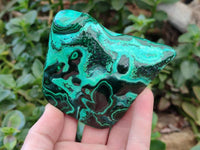 Polished Flower Banded Malachite Free Forms x 6 From Congo