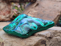Polished Flower Banded Malachite Free Forms x 6 From Congo