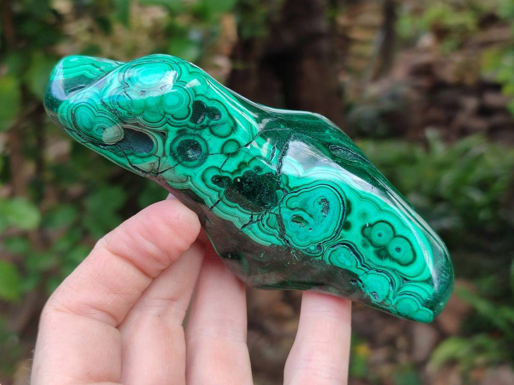 Polished Flower Banded Malachite Free Forms x 6 From Congo - Toprock Gemstones and Minerals 