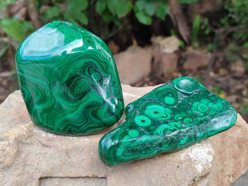 Polished Flower Banded Malachite Free Forms x 6 From Congo - Toprock Gemstones and Minerals 