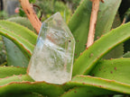 Polished Clear Quartz Crystals x 6 From Madagascar - Toprock Gemstones and Minerals 