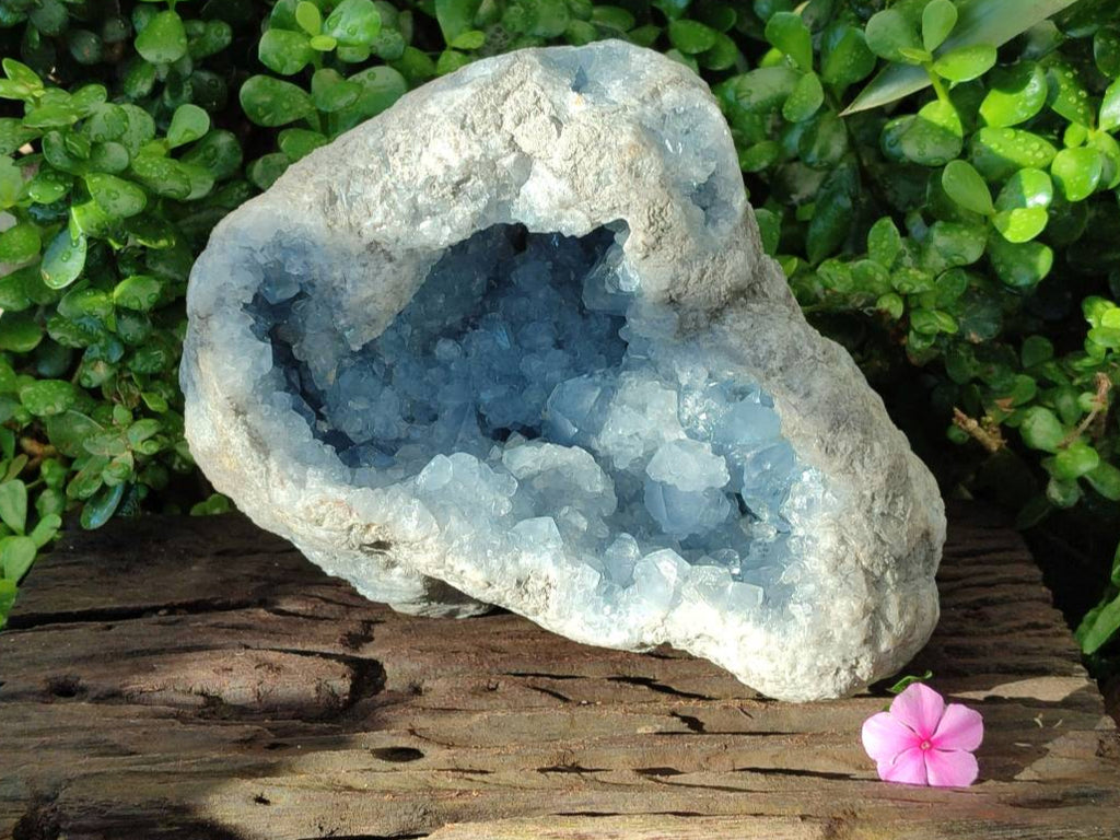 Natural Blue Celestite Geode Specimen x 1 From Sakoany, Madagascar - Toprock Gemstones and Minerals 