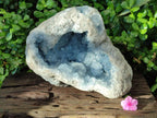 Natural Blue Celestite Geode Specimen x 1 From Sakoany, Madagascar - Toprock Gemstones and Minerals 