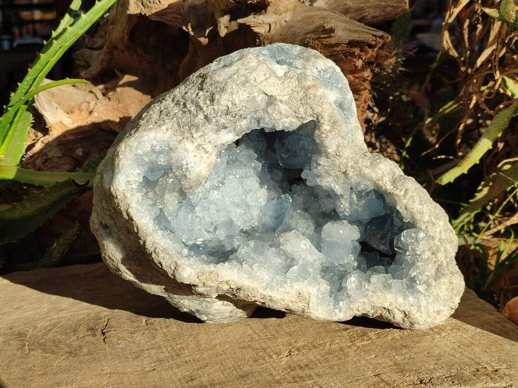 Natural Blue Celestite Geode Specimen x 1 From Sakoany, Madagascar - Toprock Gemstones and Minerals 
