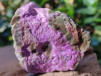 Natural Stichtite Cobbed Specimens x 24 From Barberton, South Africa