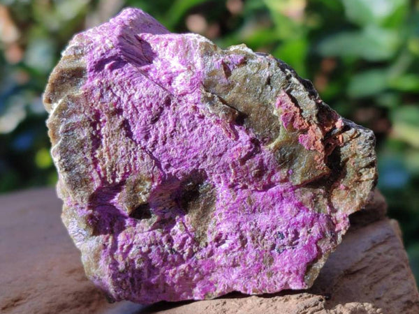 Natural Stichtite Cobbed Specimens x 24 From Barberton, South Africa