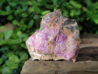 Natural Stichtite Cobbed Specimens x 24 From Barberton, South Africa