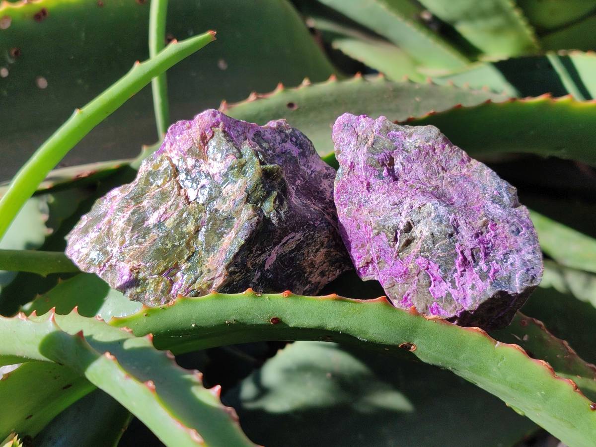 Natural Stichtite Cobbed Specimens x 24 From Barberton, South Africa - Toprock Gemstones and Minerals 