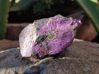 Natural Stichtite Cobbed Specimens x 24 From Barberton, South Africa