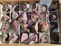 Natural Stichtite Cobbed Specimens x 24 From Barberton, South Africa