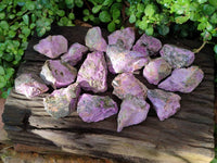 Natural Stichtite Cobbed Specimens x 24 From Barberton, South Africa