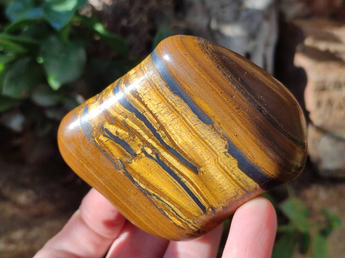 Polished Golden Tiger's Eye Jumbo Tumbled Stones x 6 From Prieska, South Africa - Toprock Gemstones and Minerals 