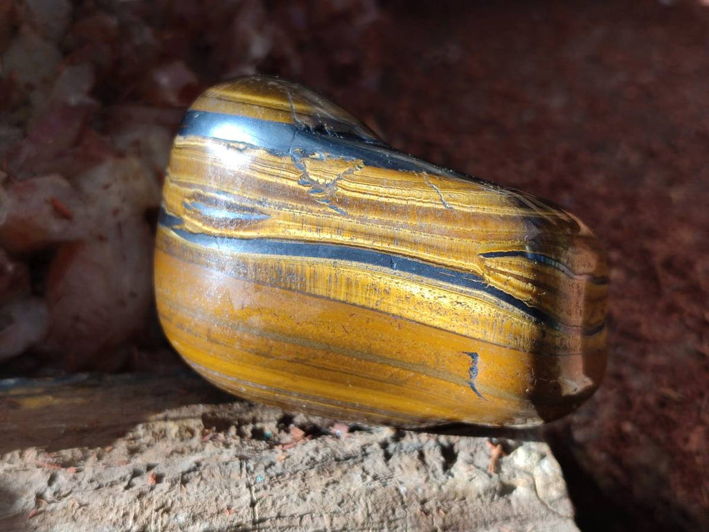 Polished Golden Tiger's Eye Jumbo Tumbled Stones x 6 From Prieska, South Africa - Toprock Gemstones and Minerals 