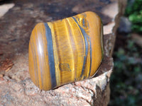 Polished Golden Tiger's Eye Jumbo Tumbled Stones x 6 From Prieska, South Africa