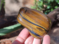 Polished Golden Tiger's Eye Jumbo Tumbled Stones x 6 From Prieska, South Africa