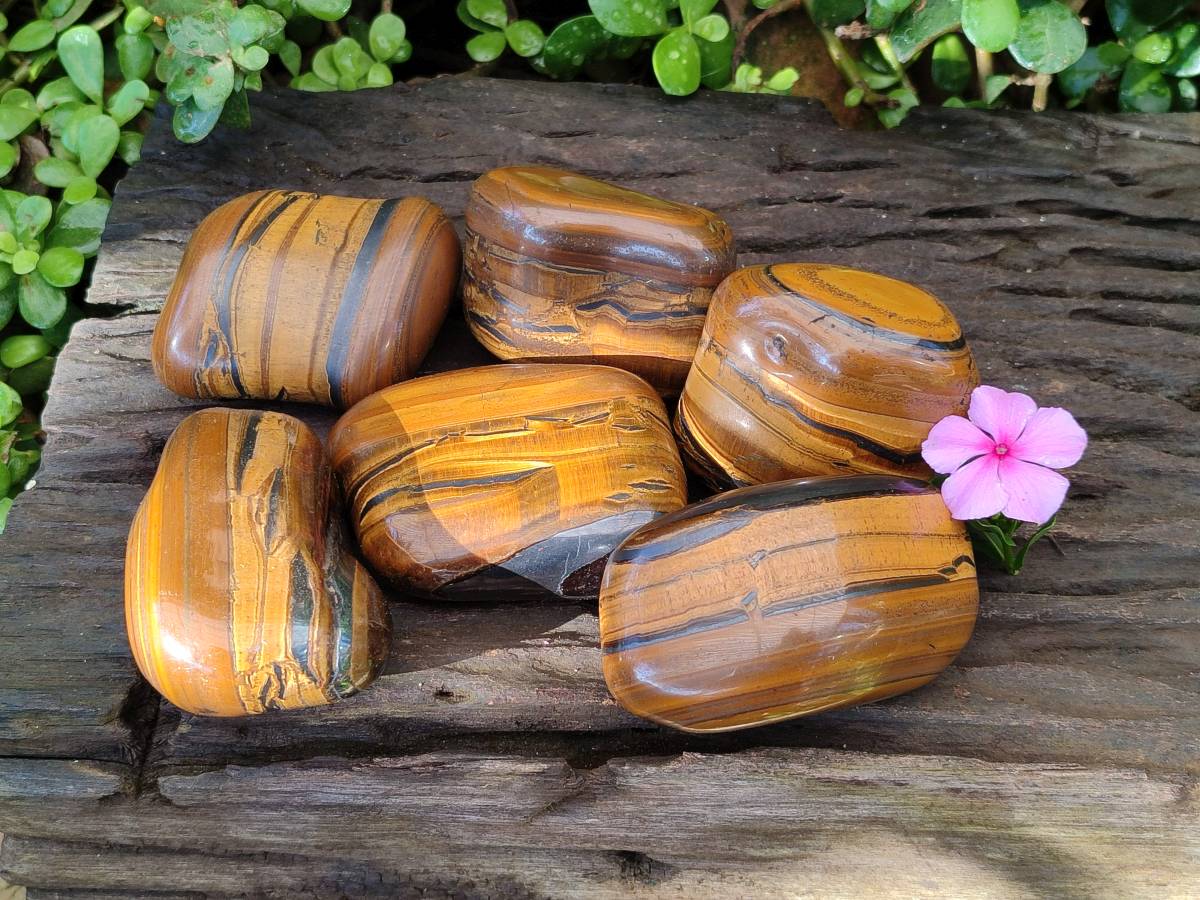 Polished Golden Tiger's Eye Jumbo Tumbled Stones x 6 From Prieska, South Africa - Toprock Gemstones and Minerals 