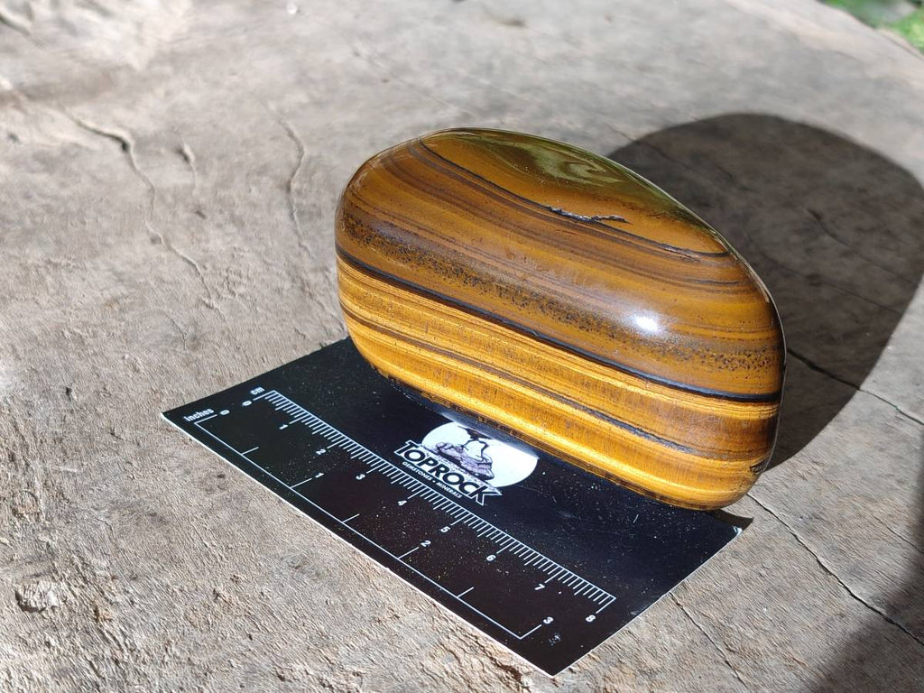 Polished Golden Tiger's Eye Jumbo Tumbled Stones x 6 From Prieska, South Africa - Toprock Gemstones and Minerals 