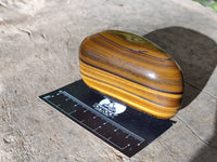 Polished Golden Tiger's Eye Jumbo Tumbled Stones x 6 From Prieska, South Africa