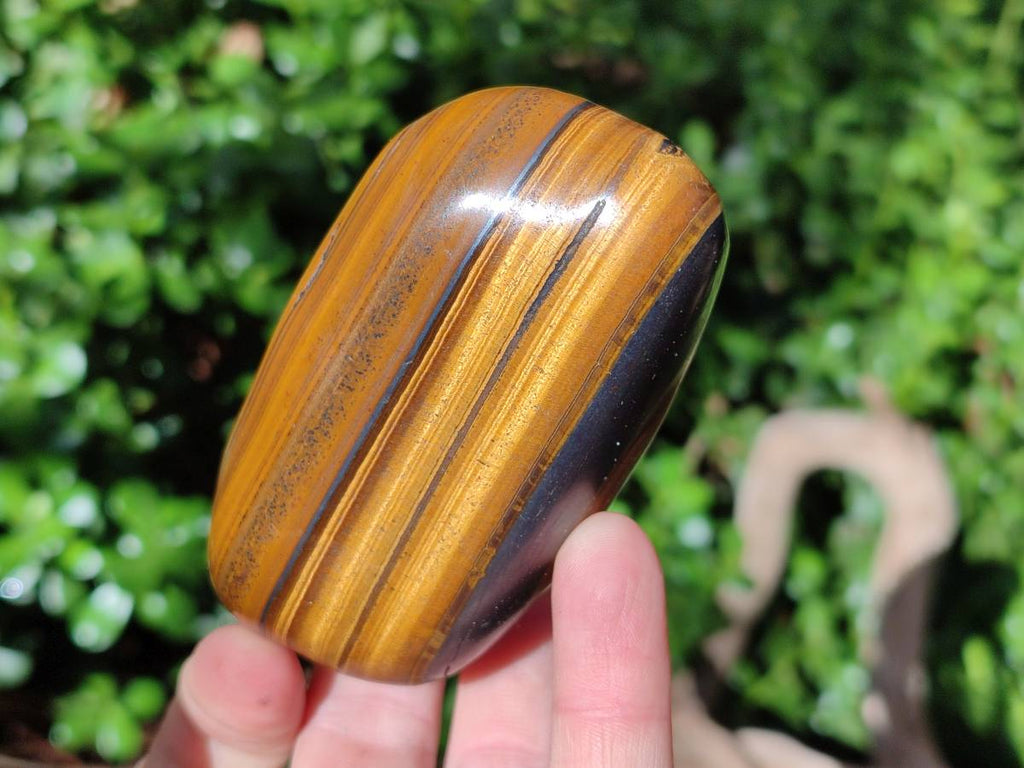 Polished Golden Tiger's Eye Jumbo Tumbled Stones x 6 From Prieska, South Africa - Toprock Gemstones and Minerals 