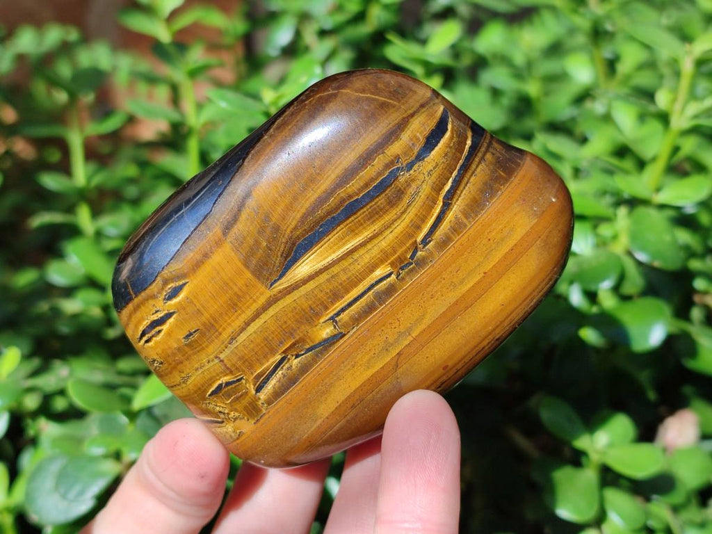 Polished Golden Tiger's Eye Jumbo Tumbled Stones x 6 From Prieska, South Africa - Toprock Gemstones and Minerals 