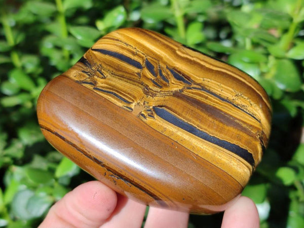 Polished Golden Tiger's Eye Jumbo Tumbled Stones x 6 From Prieska, South Africa