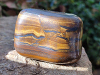Polished Golden Tiger's Eye Jumbo Tumbled Stones x 6 From Prieska, South Africa