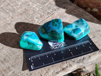 Polished Malacolla Free Forms x 35 From Kulukuluku, Congo