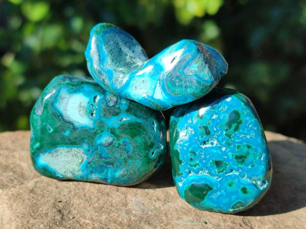 Polished Malacolla Free Forms x 35 From Kulukuluku, Congo