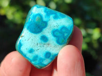 Polished Malacolla Free Forms x 35 From Kulukuluku, Congo