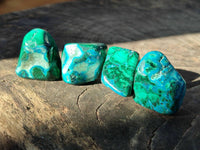 Polished Malacolla Free Forms x 35 From Kulukuluku, Congo
