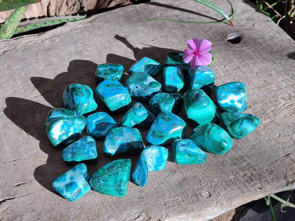 Polished Malacolla Free Forms x 35 From Kulukuluku, Congo - Toprock Gemstones and Minerals 