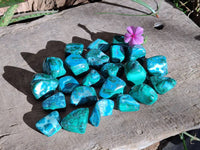 Polished Malacolla Free Forms x 35 From Kulukuluku, Congo