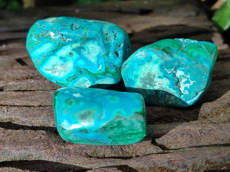 Polished Malacolla Free Forms x 35 From Kulukuluku, Congo - Toprock Gemstones and Minerals 