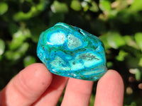 Polished Malacolla Free Forms x 35 From Kulukuluku, Congo