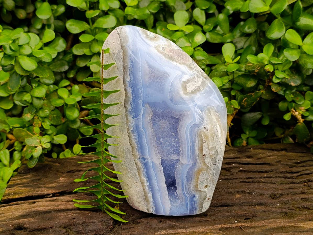 Polished Blue Lace Agate Standing Free Form x 1 From Nsanje, Malawi - Toprock Gemstones and Minerals 