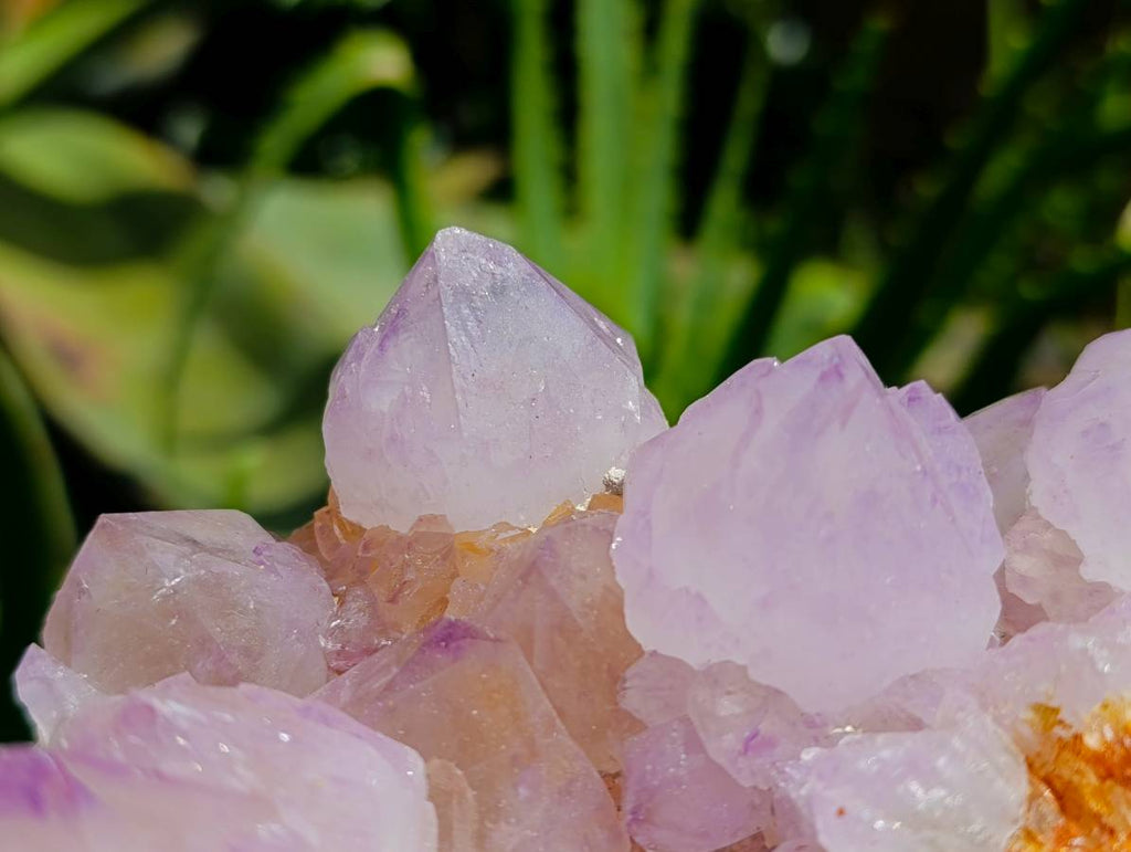 Natural Sunburst Cactus Flower Amethyst Spirit Clusters x 2 From South Africa - Toprock Gemstones and Minerals 