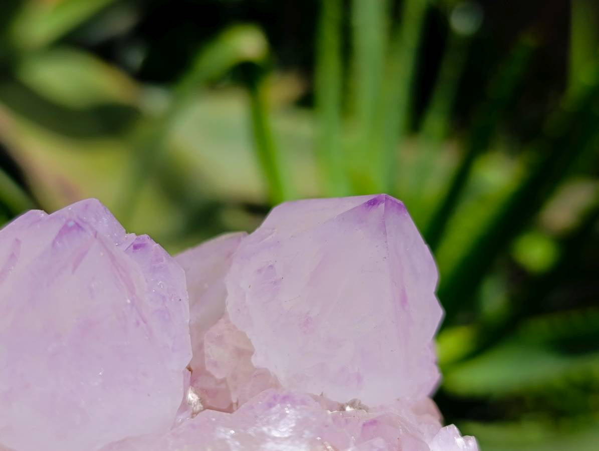 Natural Sunburst Cactus Flower Amethyst Spirit Clusters x 2 From South Africa - Toprock Gemstones and Minerals 