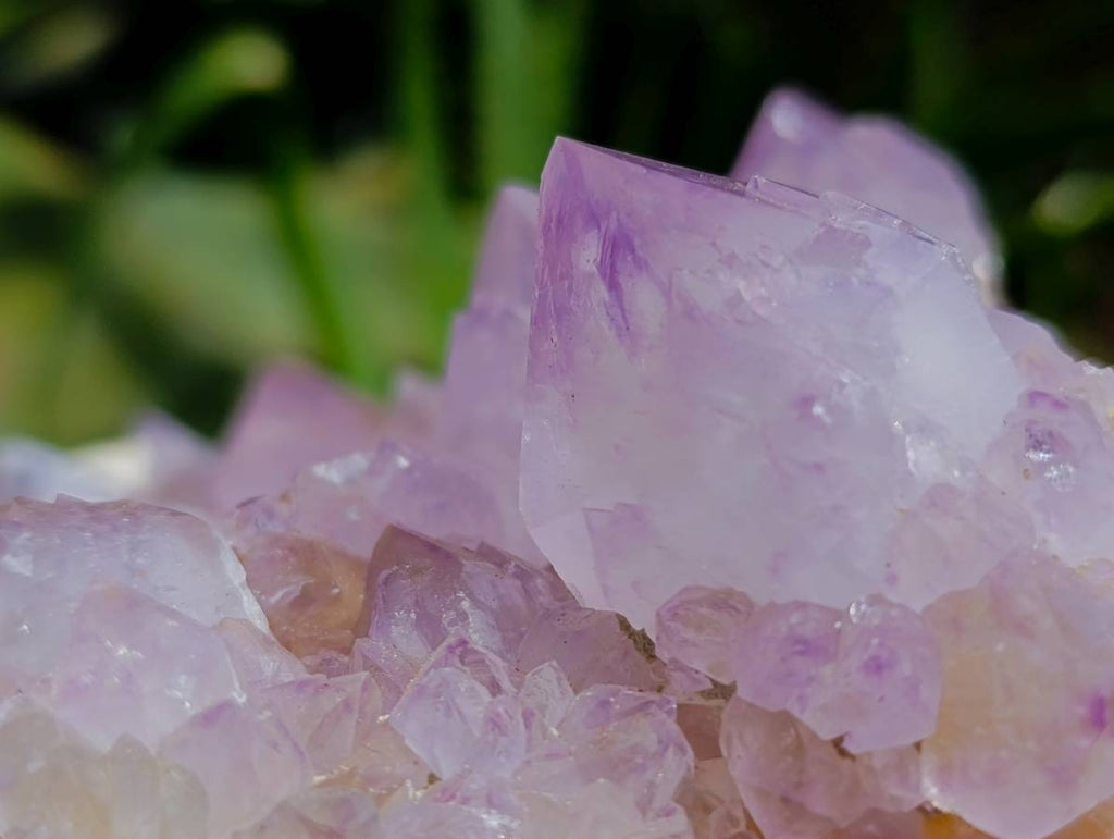 Natural Sunburst Cactus Flower Amethyst Spirit Clusters x 2 From South Africa - Toprock Gemstones and Minerals 