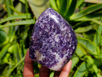 Polished Lepidolite Standing Free Forms x 3 From Zimbabwe