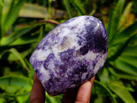 Polished Lepidolite Standing Free Forms x 3 From Zimbabwe