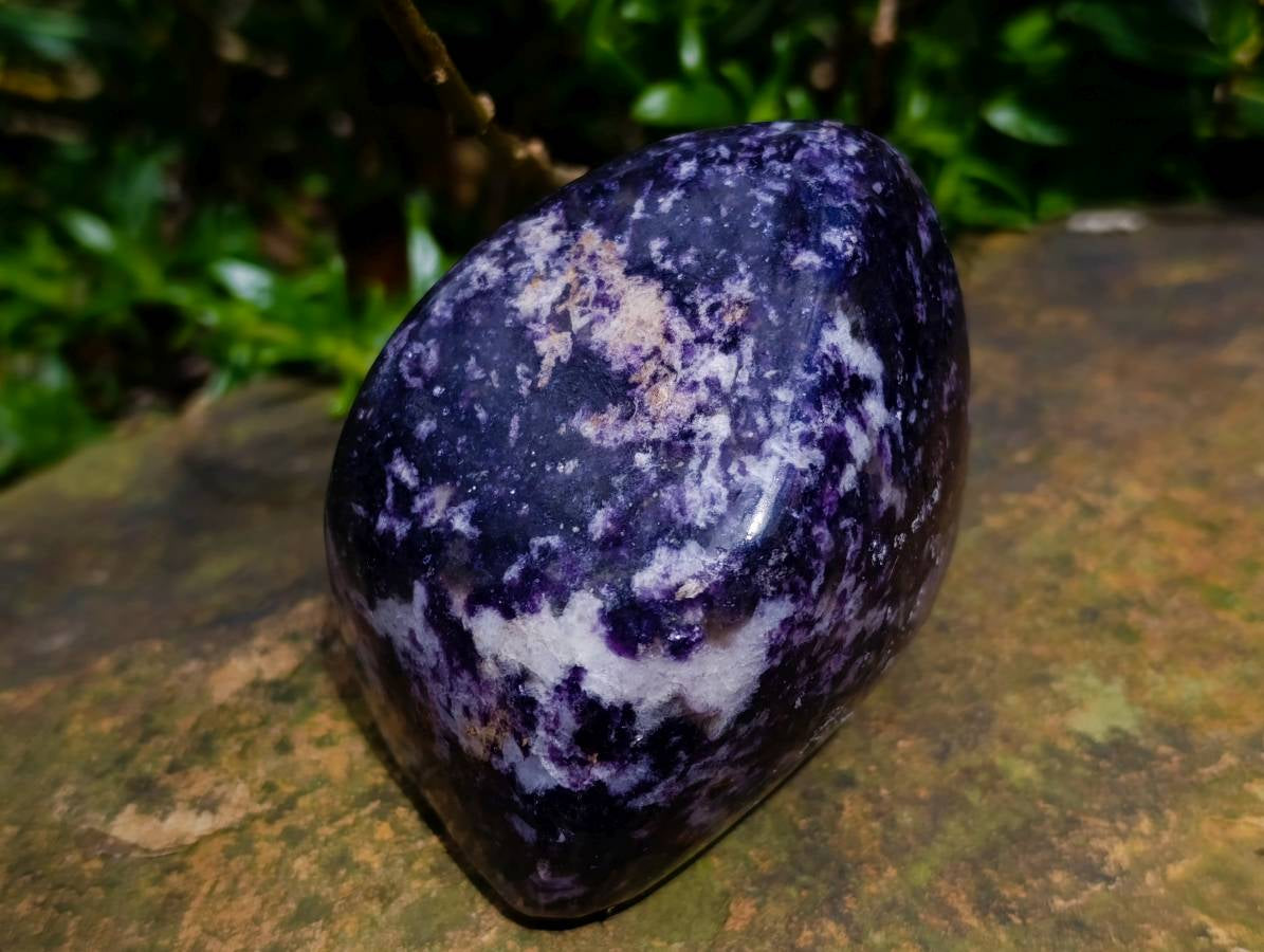 Polished Lepidolite Standing Free Forms x 3 From Zimbabwe - Toprock Gemstones and Minerals 