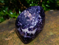 Polished Lepidolite Standing Free Forms x 3 From Zimbabwe