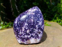 Polished Lepidolite Standing Free Forms x 3 From Zimbabwe